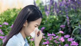 秋风起 花粉飞 谨防鼻炎闹