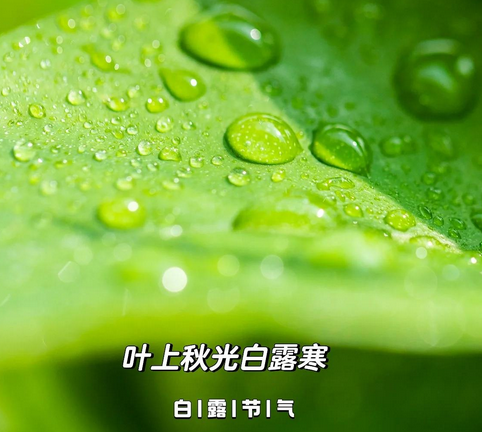 白露时节如何养生防病？国家卫生健康委给出指引
