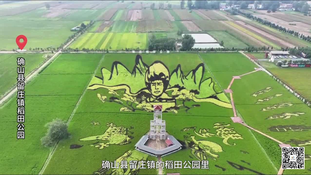 【天中赤子 民族英雄】追忆杨靖宇将军（八）
