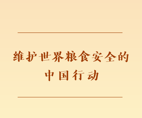 维护世界粮食安全的中国行动