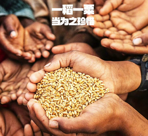 驻马店多方合力守护粮食安全 从田间到餐桌书写&ldquo;粮安&rdquo;答卷​