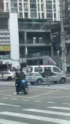 成都街头鸵鸟“闲逛” 当地回应：系餐馆养殖 已抓回
