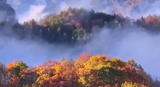 多地秋天“迟到早退” 秋季为何越来越短了？