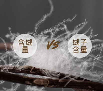 不含“绒子”只含“丝” 不能称为羽绒服