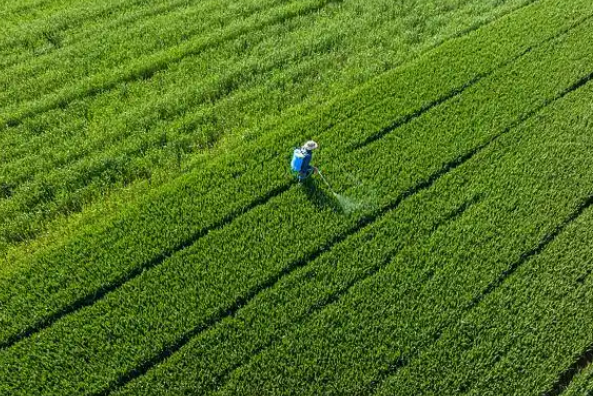 驻马店昌盛生物：深耕绿色农药研发 为农业转型注入新动能